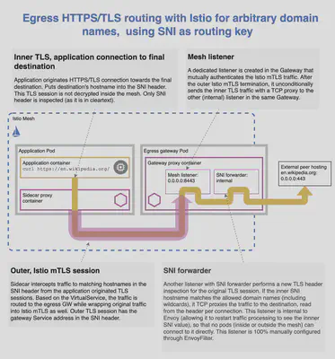 具有任意域名的出口 SNI 路由